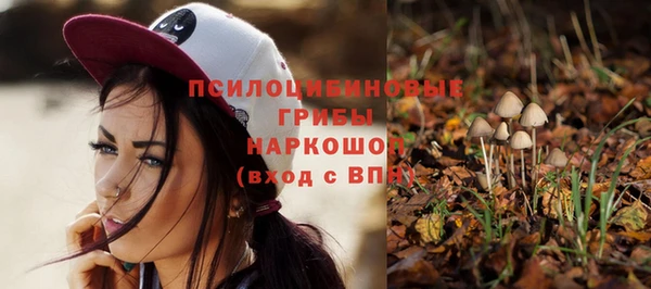 PSILOCYBIN Абаза